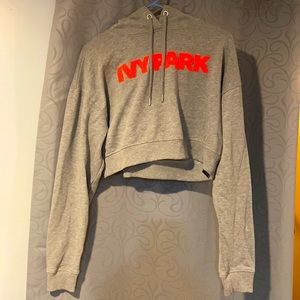 cropped grey ivy park hoodie with hot pink letters